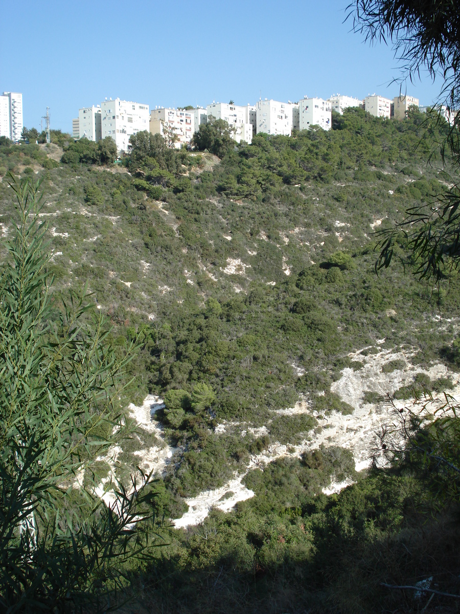 รูปถ่าย อิสราเอล(Israel) ไฮฟา(Haifa) คาร์เมล(Carmel) 2006-12 9