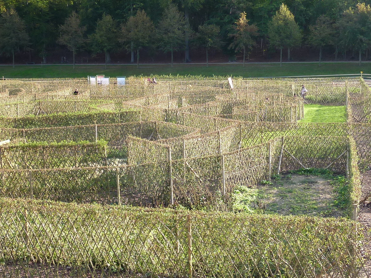 รูปถ่าย ฝรั่งเศส(France) ช็องตีญี(Chantilly) 2009-10 82