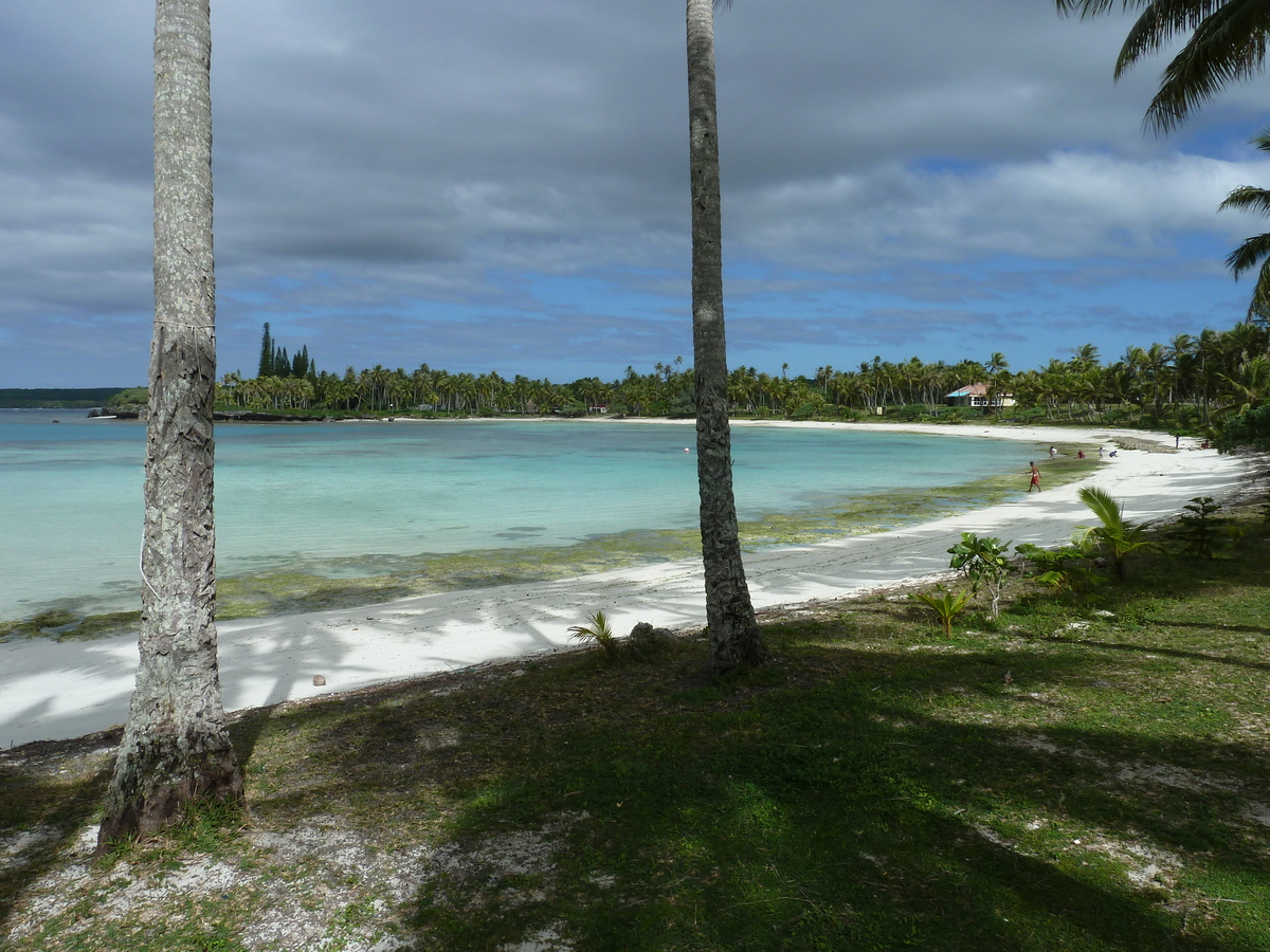 รูปถ่าย นิวแคลิโดเนีย(New Caledonia) เกาะลีฟู(Lifou) อ่าวเต่า(Baie des tortues) 2010-05 33