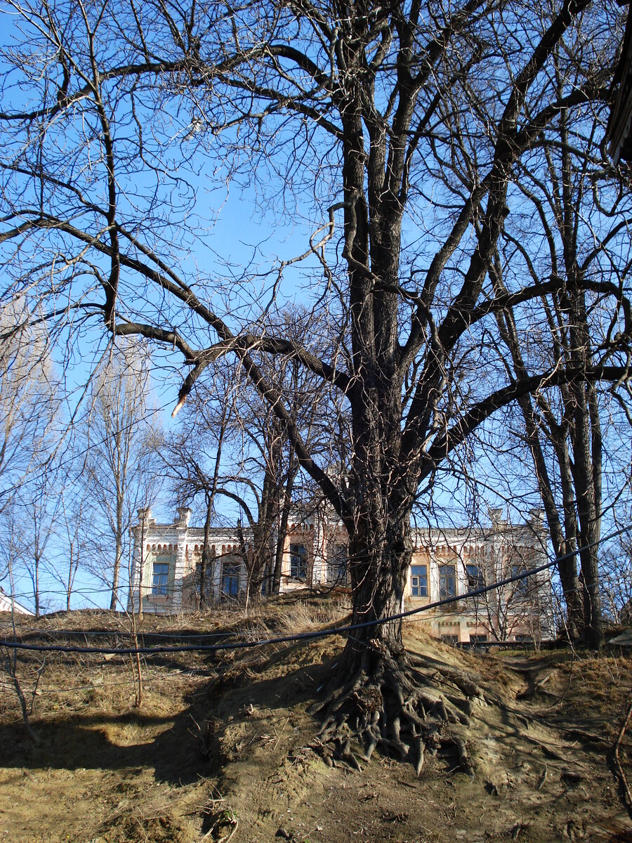 รูปถ่าย ยูเครน(Ukraine) เคียฟ(Kiev) 2007-03 223