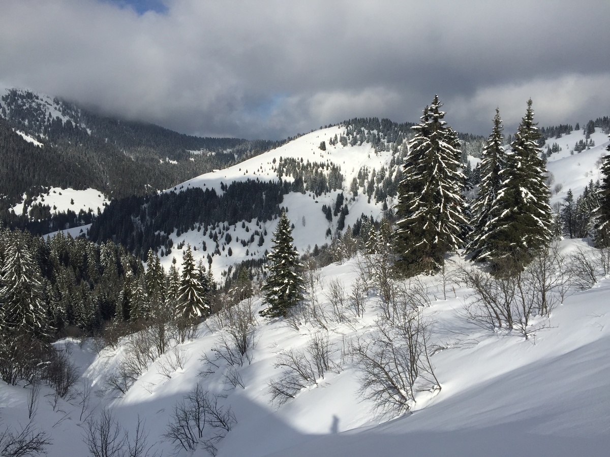 รูปถ่าย ฝรั่งเศส(France) เมแฌฟว์(Megeve) 2016-02 95