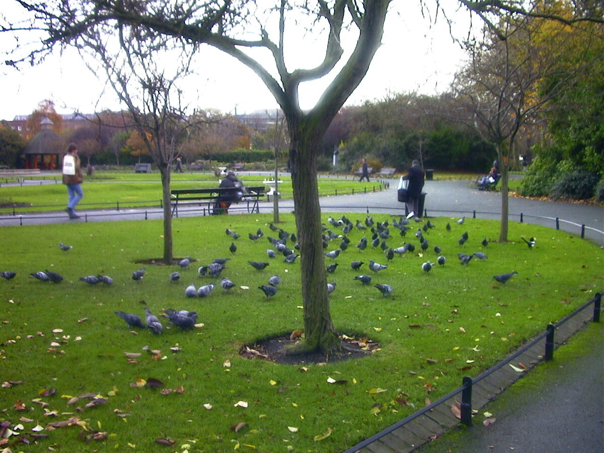 รูปถ่าย ไอร์แลนด์(Ireland) ดับลิน(Dublin) 2000-11 3