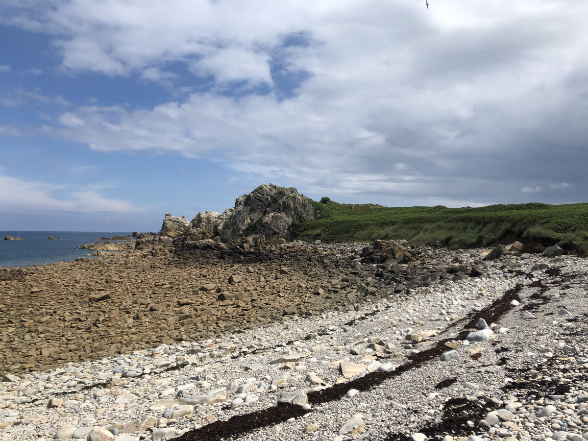 รูปถ่าย ฝรั่งเศส(France) เกาะเบรอา(Brehat Island) 2020-06 248