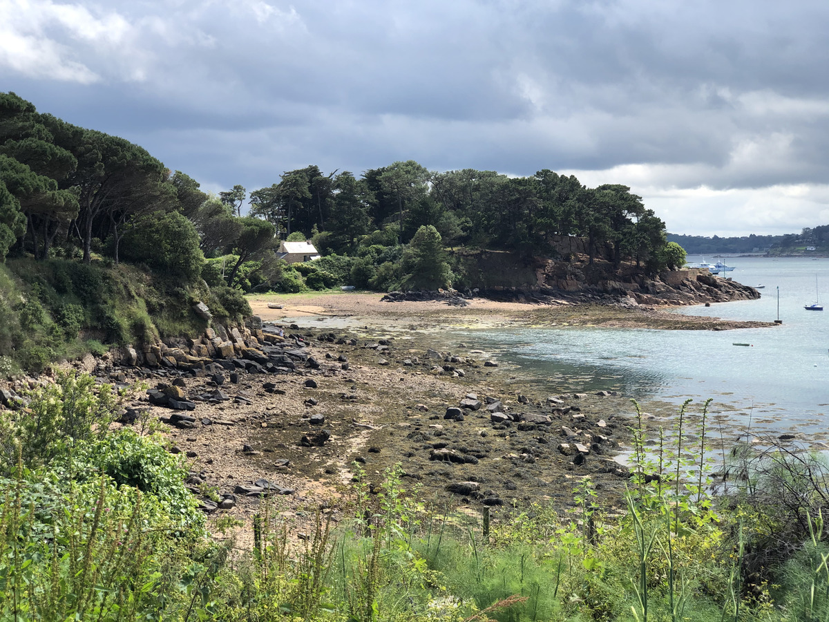 รูปถ่าย ฝรั่งเศส(France) เกาะเบรอา(Brehat Island) 2020-06 96