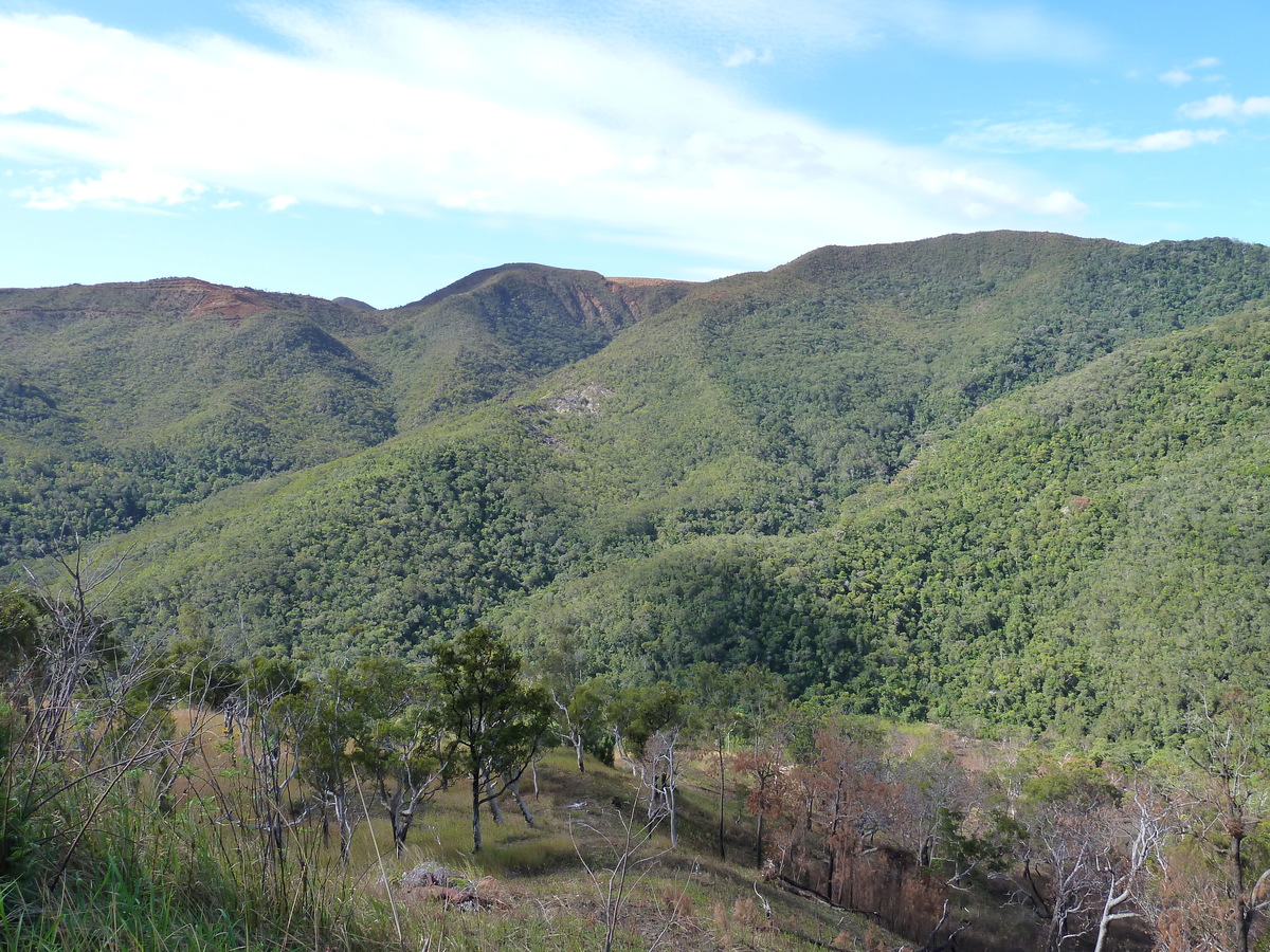 รูปถ่าย นิวแคลิโดเนีย(New Caledonia) ถนนจากทีโอไปกานาลา(Thio to Canala road) 2010-05 73