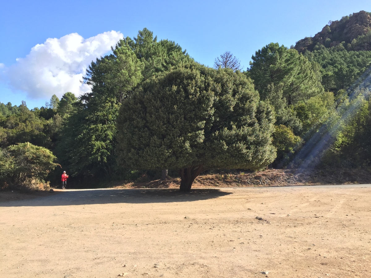 รูปถ่าย ฝรั่งเศส(France) คอร์สิคา(Corsica) เกนซา(Quenza) 2017-09 8
