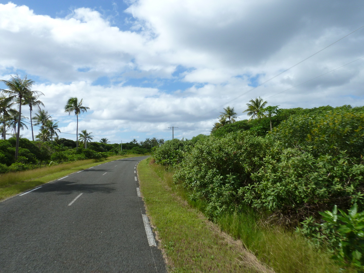 รูปถ่าย นิวแคลิโดเนีย(New Caledonia) เกาะลีฟู(Lifou) 2010-05 21