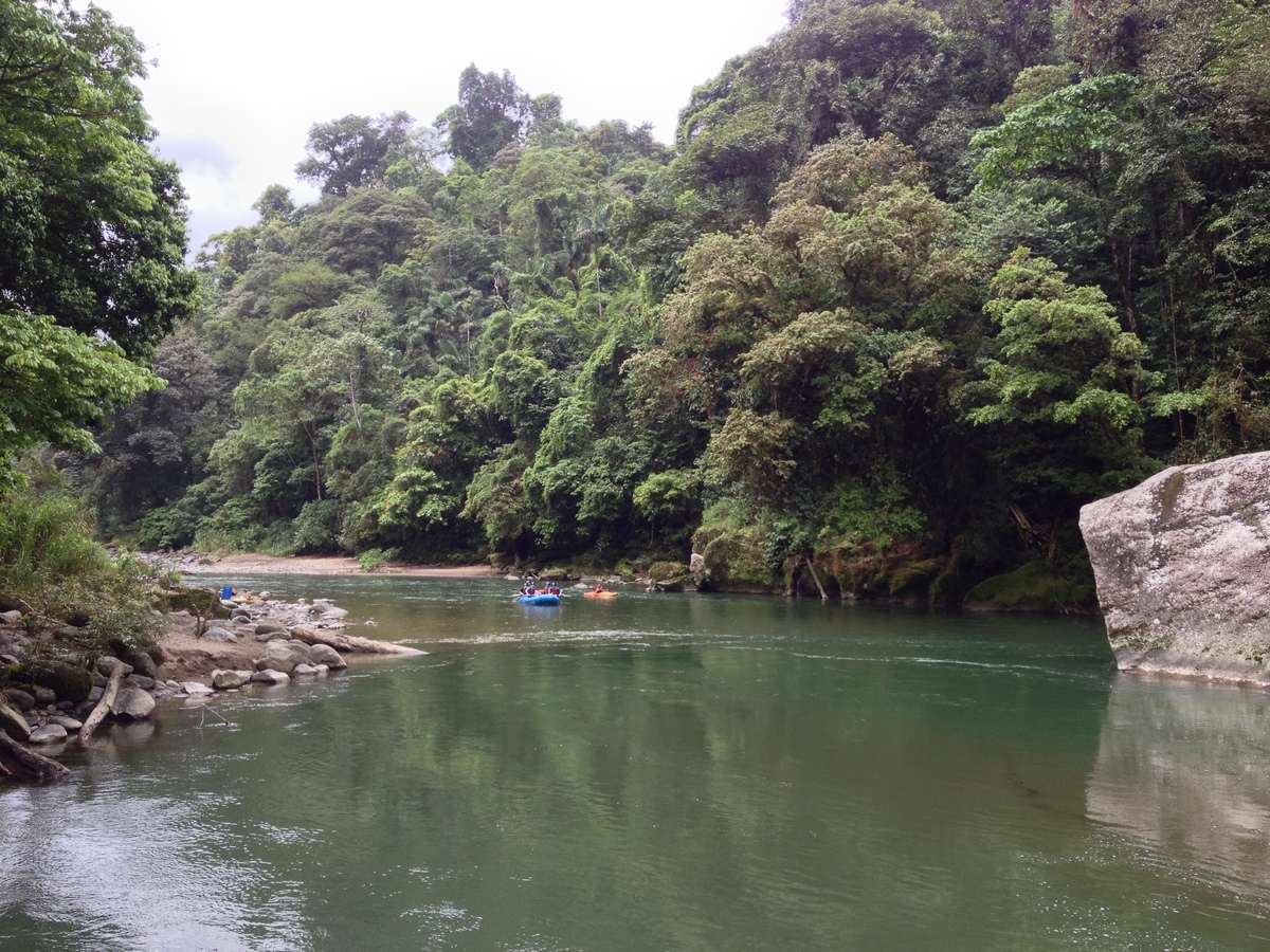 รูปถ่าย คอสตาริกา(Costa Rica) แม่น้ำปากัวเร(Pacuare River) 2015-03 239