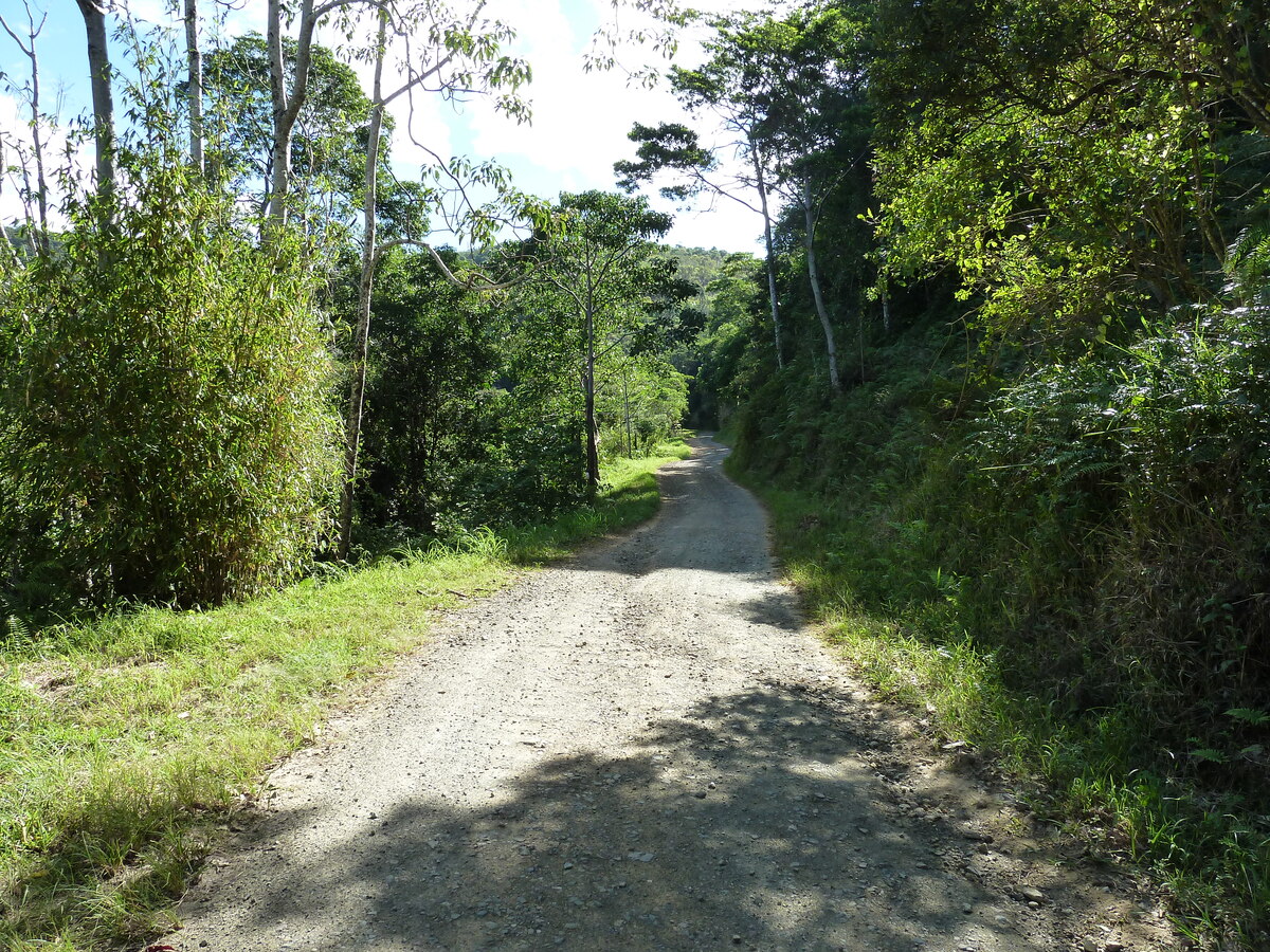 รูปถ่าย นิวแคลิโดเนีย(New Caledonia) ถนนจากทีโอไปกานาลา(Thio to Canala road) 2010-05 77