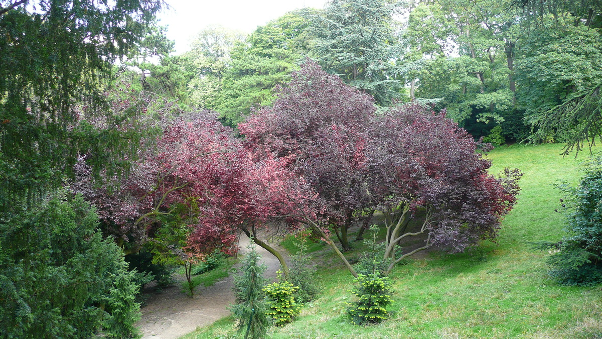 รูปถ่าย ฝรั่งเศส(France) ปารีส(Paris) สวนบุต-โชมง(Parc des Buttes Chaumont) 2007-08 8