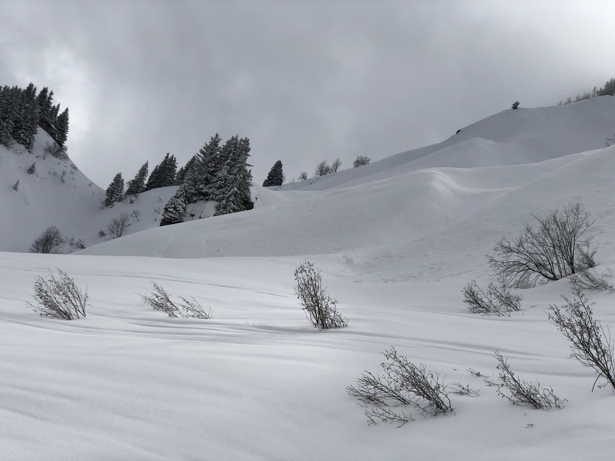 รูปถ่าย ฝรั่งเศส(France) เมแฌฟว์(Megeve) 2019-03 38