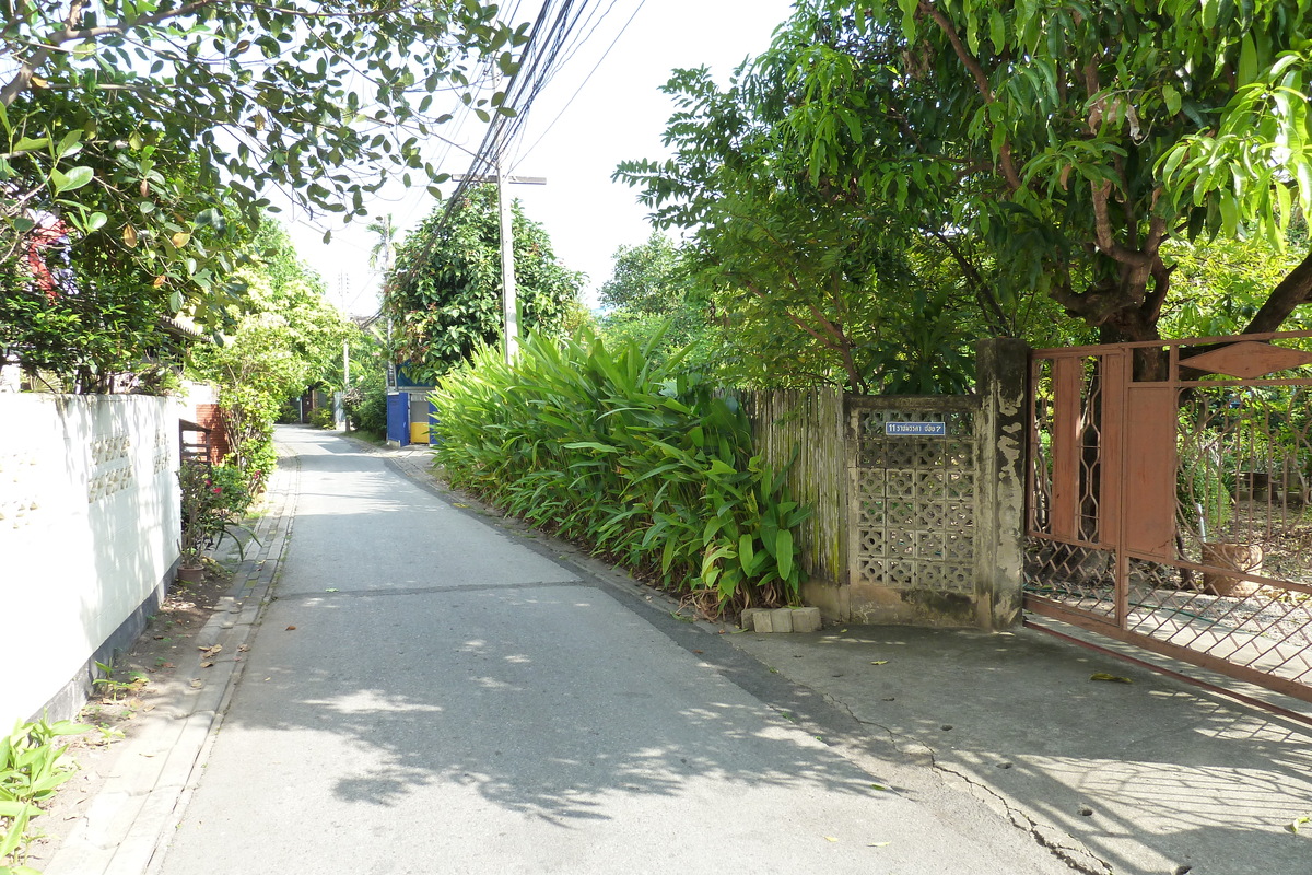รูปถ่าย ไทย(Thailand) เชียงใหม่(Chiang Mai) 2010-12 17