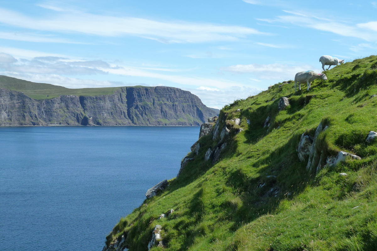 รูปถ่าย อังกฤษ(United Kingdom) เกาะสกาย(Skye) แหลมนีสต์พอยต์(Neist Point) 2011-07 42