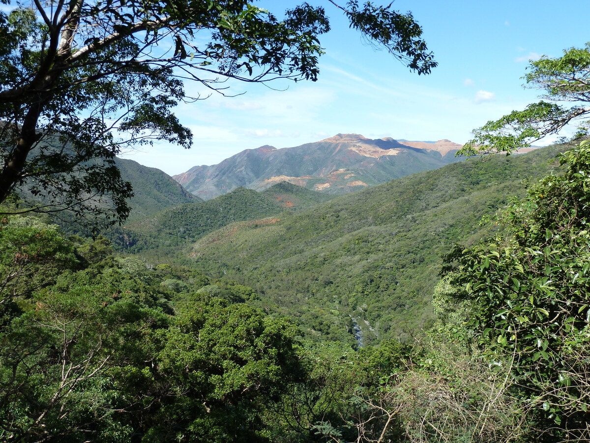 รูปถ่าย นิวแคลิโดเนีย(New Caledonia) ถนนจากทีโอไปกานาลา(Thio to Canala road) 2010-05 46