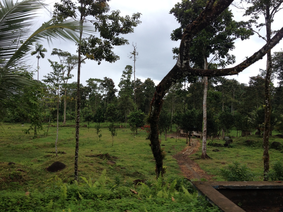 รูปถ่าย ปานามา(Panama) จากดาบิดไปโบกัสเดลโตโร(David to Bocas del toro) 2015-03 61