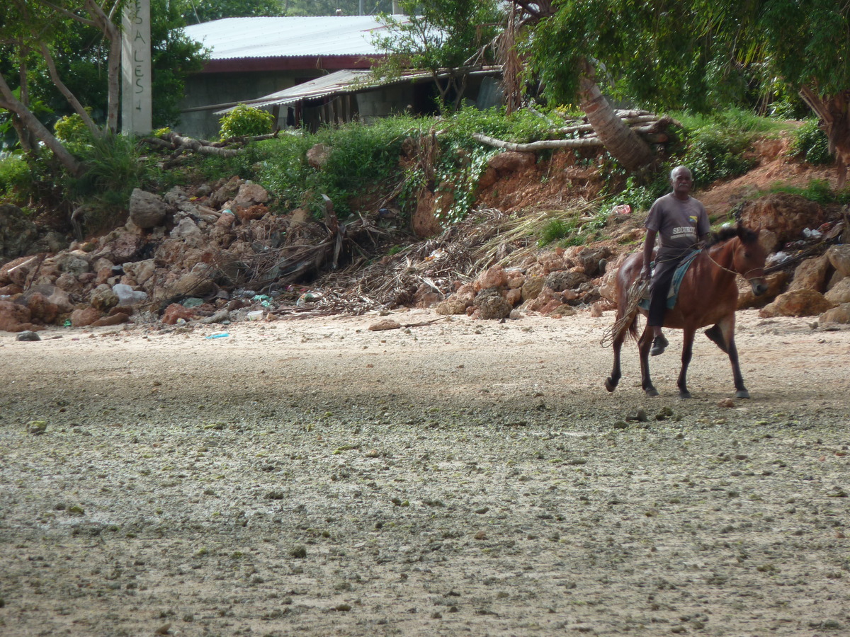รูปถ่าย ฟิจิ(Fiji) ถนนจากนาดีไปนาตาโดลา(Nadi to Natadola road) 2010-05 47
