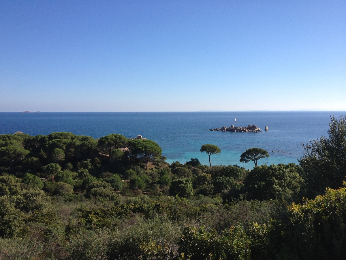 รูปถ่าย ฝรั่งเศส(France) คอร์สิคา(Corsica) ปาลอมบัจจา(Palombaggia) 2012-09 4
