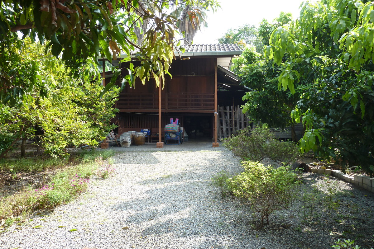 รูปถ่าย ไทย(Thailand) เชียงใหม่(Chiang Mai) 2010-12 9