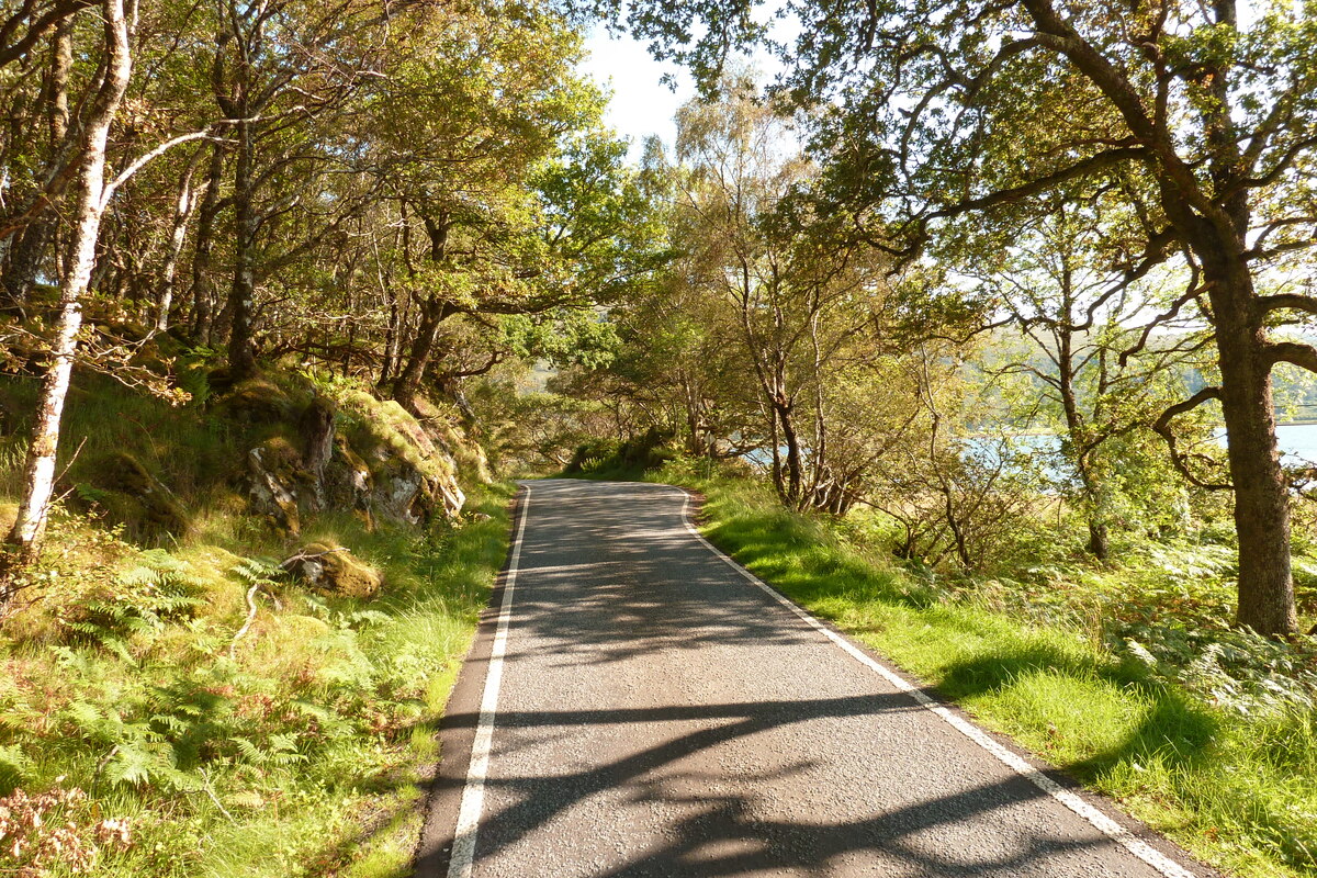 รูปถ่าย อังกฤษ(United Kingdom) สกอตแลนด์(Scotland) เซเลน(Salen) 2011-07 67