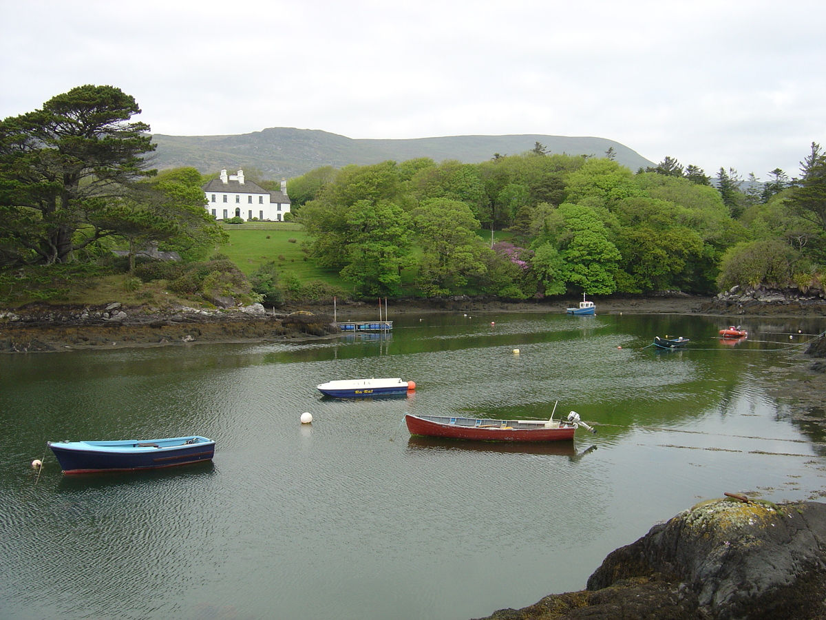 รูปถ่าย ไอร์แลนด์(Ireland) เคอร์รี่(Kerry) ปาร์คนาสิลล่า(Parknasilla) 2004-05 39