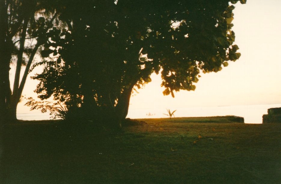 รูปถ่าย เฟรนช์โพลี่นีเซีย(Polynesia) มูเรีย(Moorea) 1993-04 106