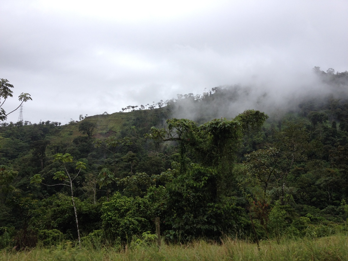 รูปถ่าย ปานามา(Panama) จากดาบิดไปโบกัสเดลโตโร(David to Bocas del toro) 2015-03 65
