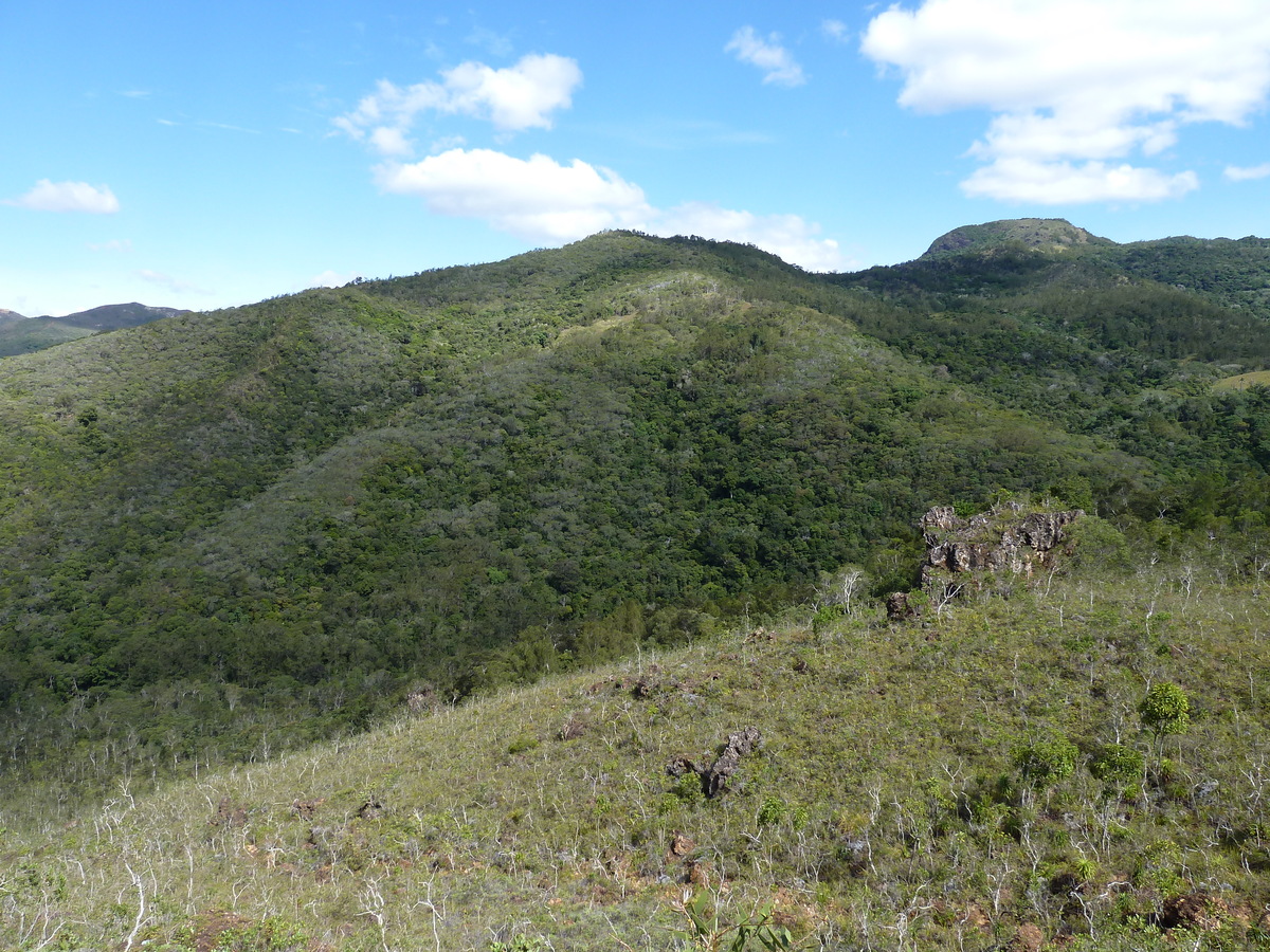 รูปถ่าย นิวแคลิโดเนีย(New Caledonia) ถนนจากทีโอไปกานาลา(Thio to Canala road) 2010-05 34