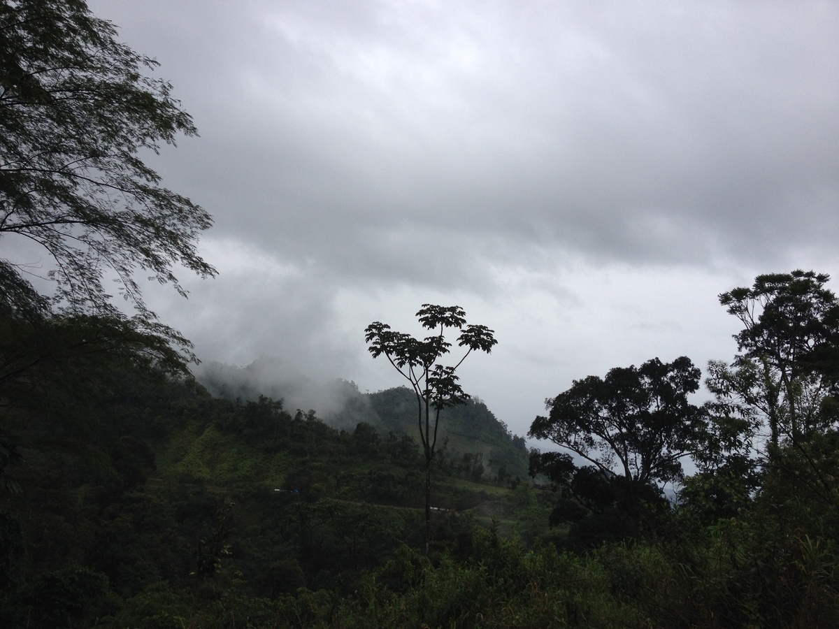 รูปถ่าย ปานามา(Panama) จากดาบิดไปโบกัสเดลโตโร(David to Bocas del toro) 2015-03 52