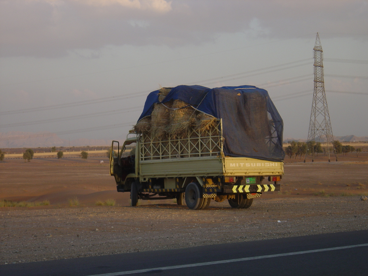 รูปถ่าย สหรัฐอาหรับเอมิเรตส์(United Arab Emirates) อาเลอิน(Al Ain) ทะเล(Desert) 2005-11 10