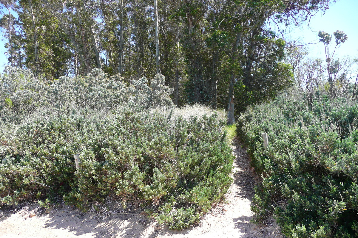 รูปถ่าย ฝรั่งเศส(France) เกาะปอร์เกอรอล(Porquerolles Island) หาดกูร์ตาด(Courtade beach) 2008-05 2