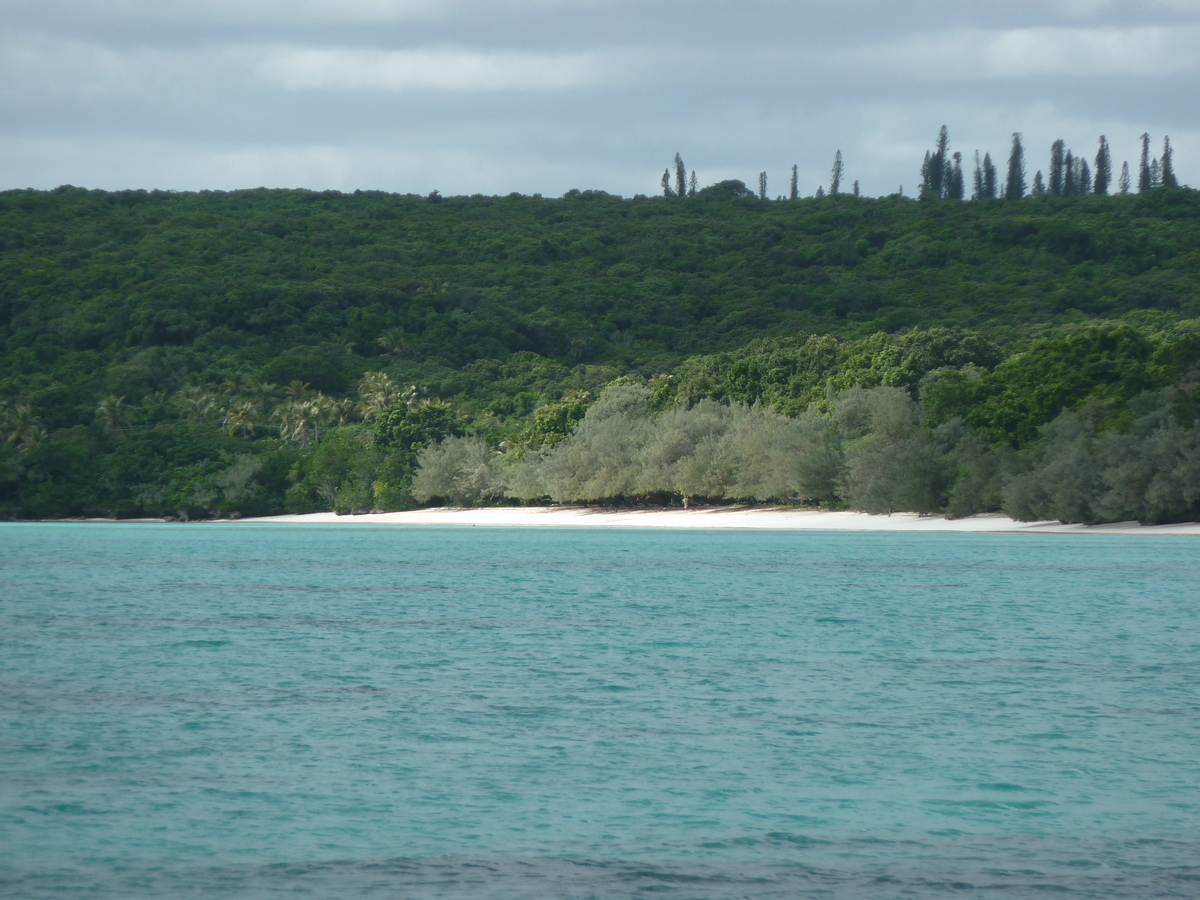 รูปถ่าย นิวแคลิโดเนีย(New Caledonia) เกาะลีฟู(Lifou) หาดลูเอ็งโกนี(Luengoni Beach) 2010-05 37