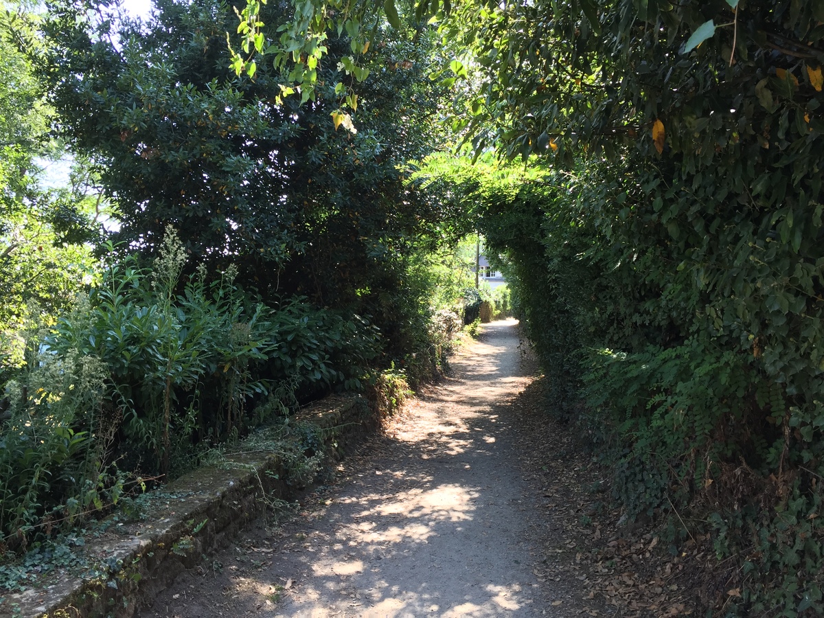รูปถ่าย ฝรั่งเศส(France) เกาะโอมวน(Ile-aux-Moines) 2016-08 67
