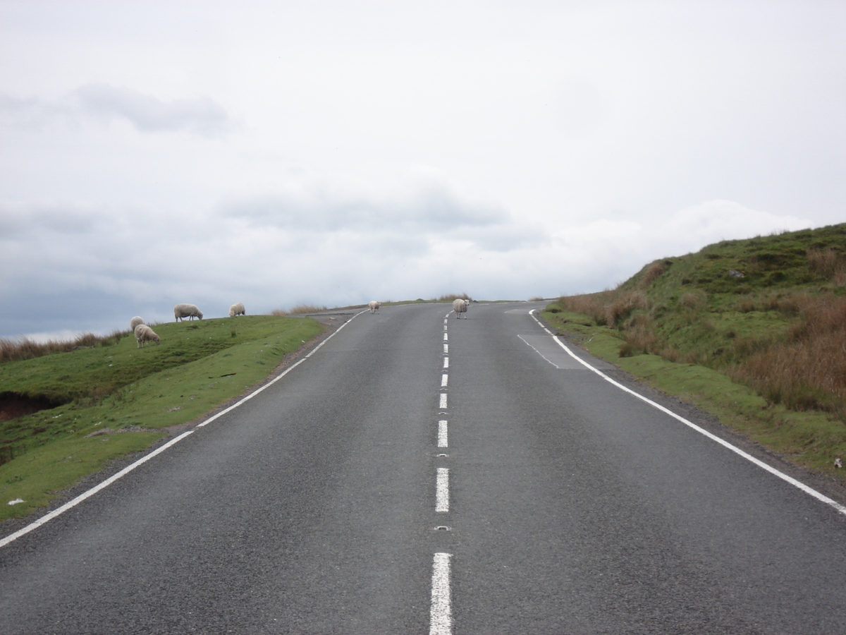 รูปถ่าย อังกฤษ(United Kingdom) อุทยานแห่งชาติเบรคอนบีคอนส์(Brecon Beacons National Park) 2006-05 97