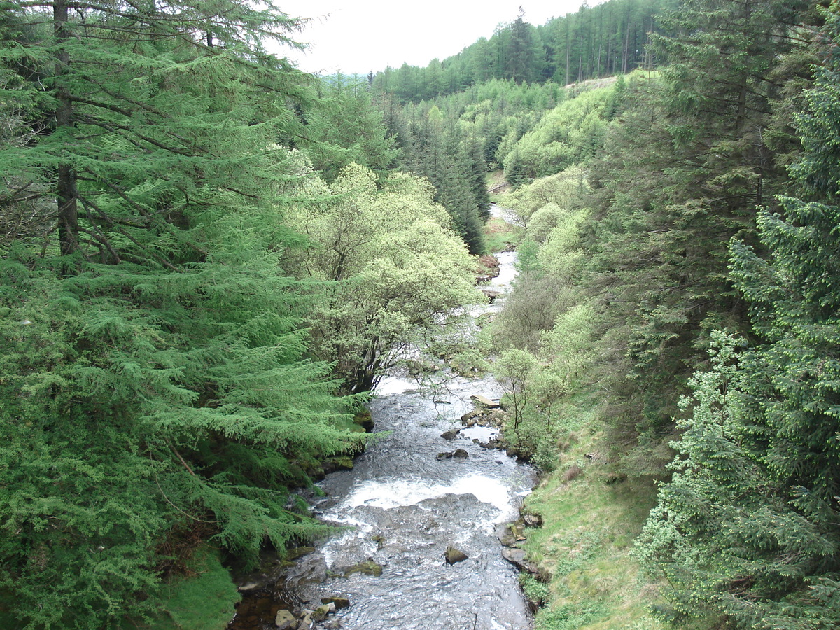 รูปถ่าย อังกฤษ(United Kingdom) อุทยานแห่งชาติเบรคอนบีคอนส์(Brecon Beacons National Park) 2006-05 68