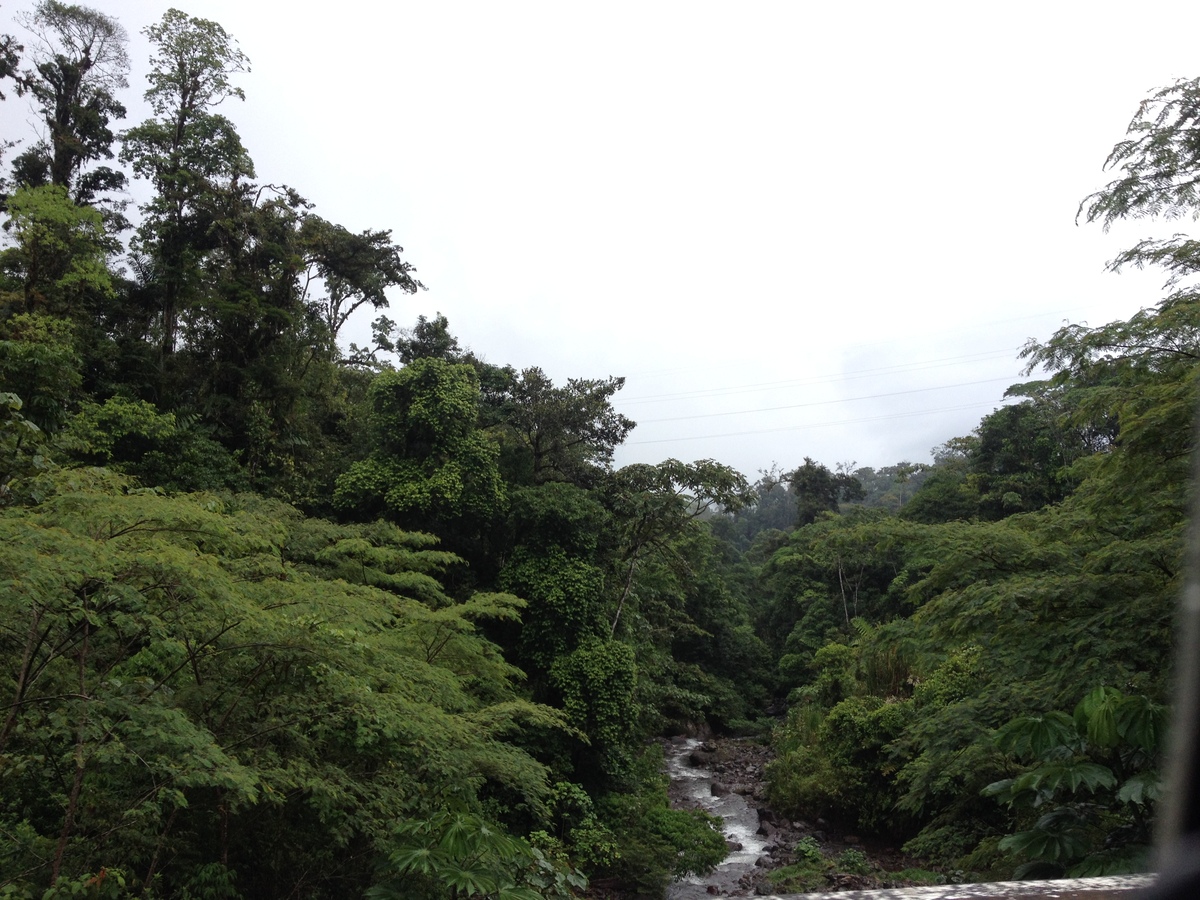 รูปถ่าย ปานามา(Panama) จากดาบิดไปโบกัสเดลโตโร(David to Bocas del toro) 2015-03 67
