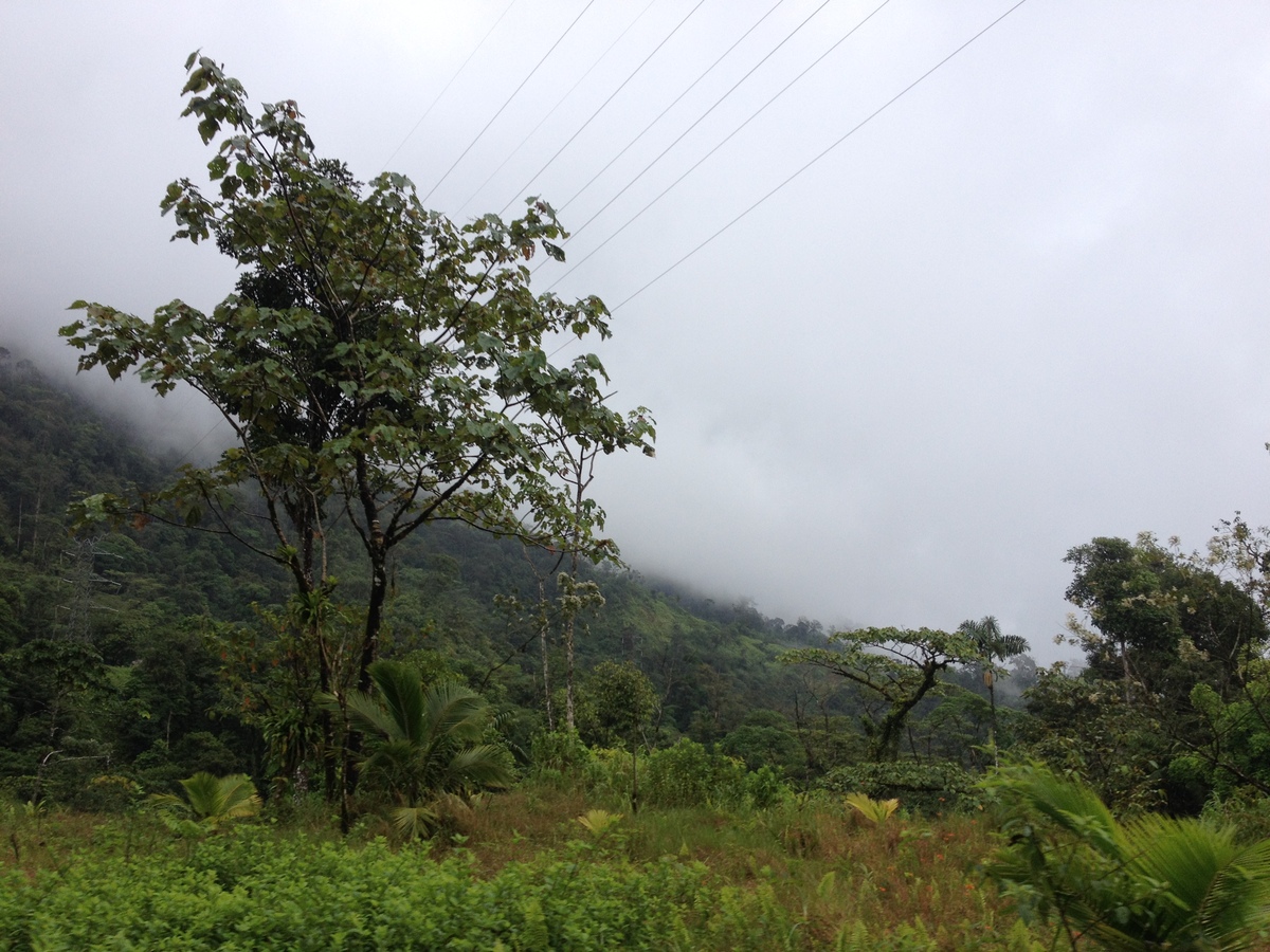 รูปถ่าย ปานามา(Panama) จากดาบิดไปโบกัสเดลโตโร(David to Bocas del toro) 2015-03 70