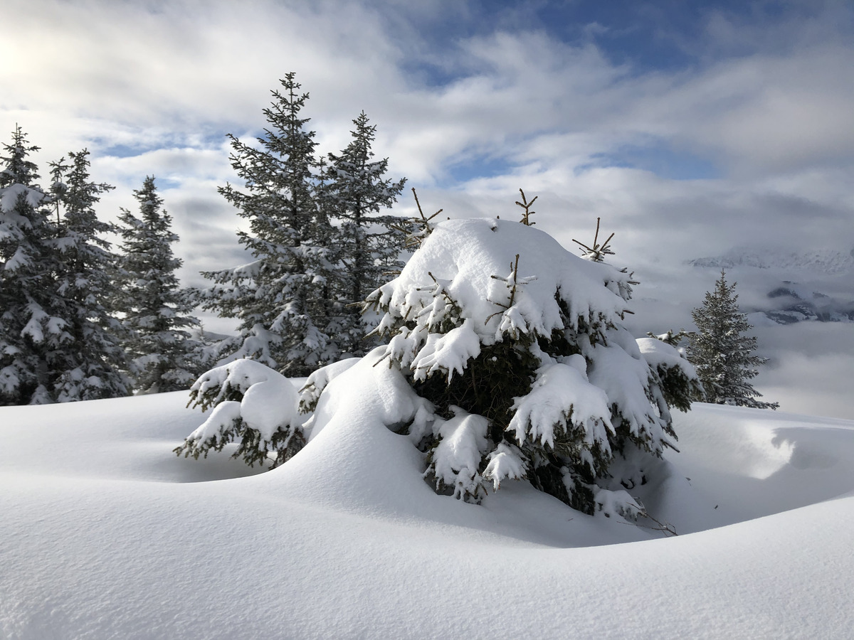 รูปถ่าย ฝรั่งเศส(France) ปรา-ซูร์-อาร์ลี(Praz sur Arly) 2019-12 271
