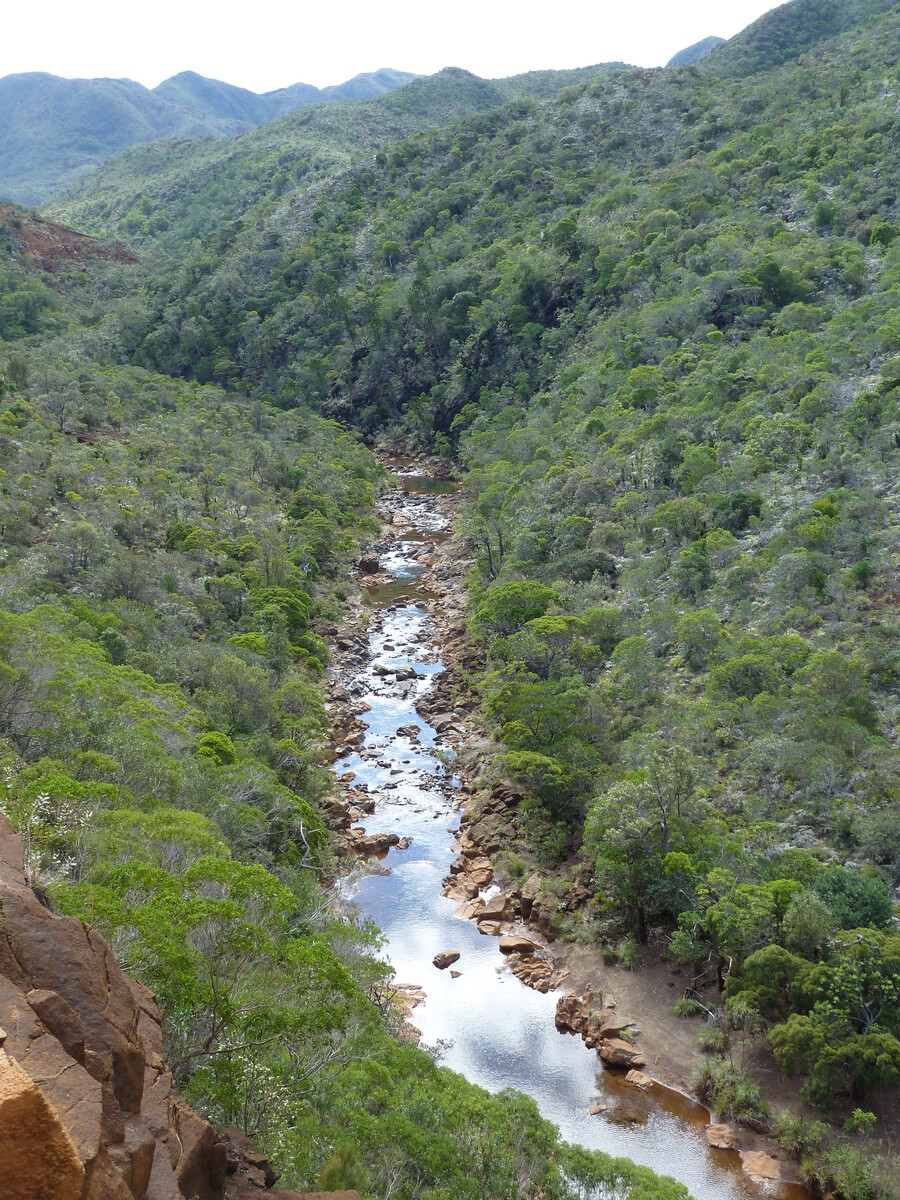 รูปถ่าย นิวแคลิโดเนีย(New Caledonia) ถนนจากทีโอไปกานาลา(Thio to Canala road) 2010-05 15