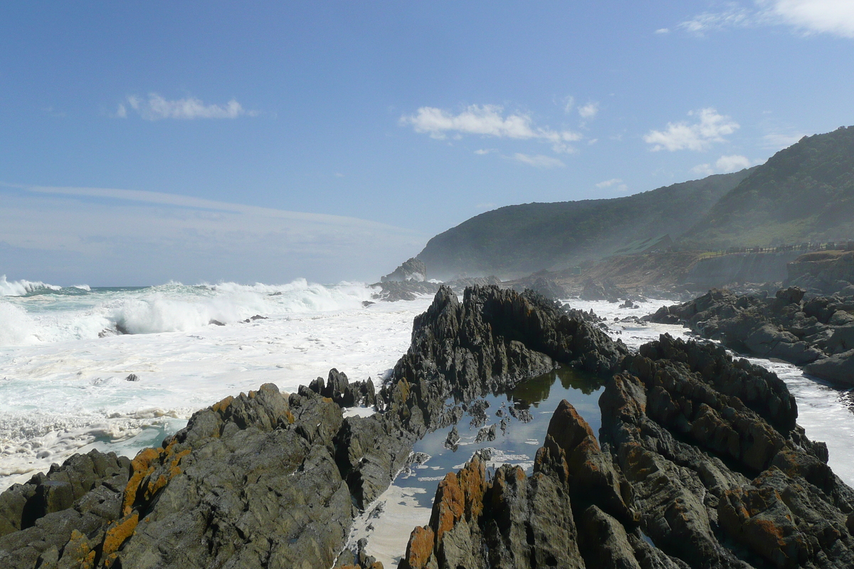 รูปถ่าย แอฟริกาใต้(South Africa) อุทยานแห่งชาติซิตซิคัมมา(Tsitsikamma National Park) 2008-09 422