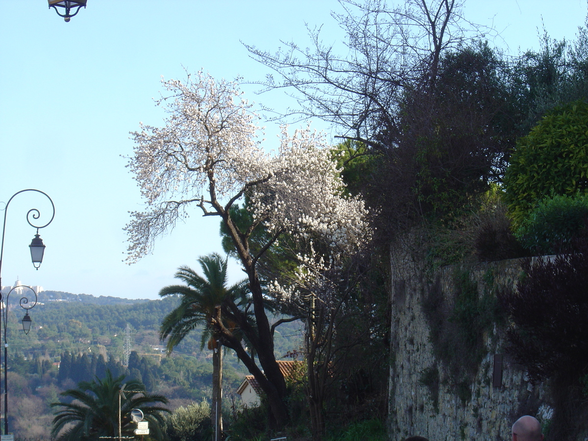 รูปถ่าย ฝรั่งเศส(France) มูแก็งส์(Mougins) 2006-02 36