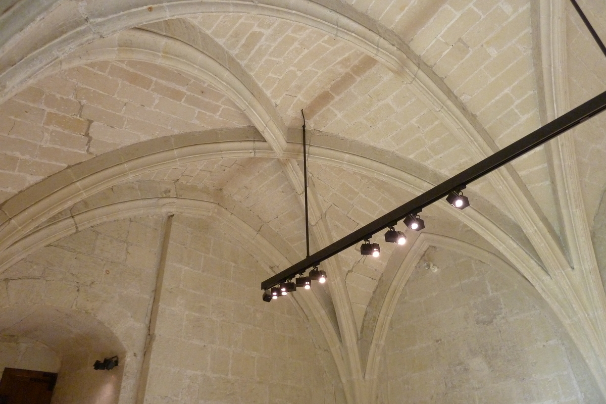 รูปถ่าย ฝรั่งเศส(France) ปราสาทมงโซโร(Montsoreau Castle) 2011-05 81