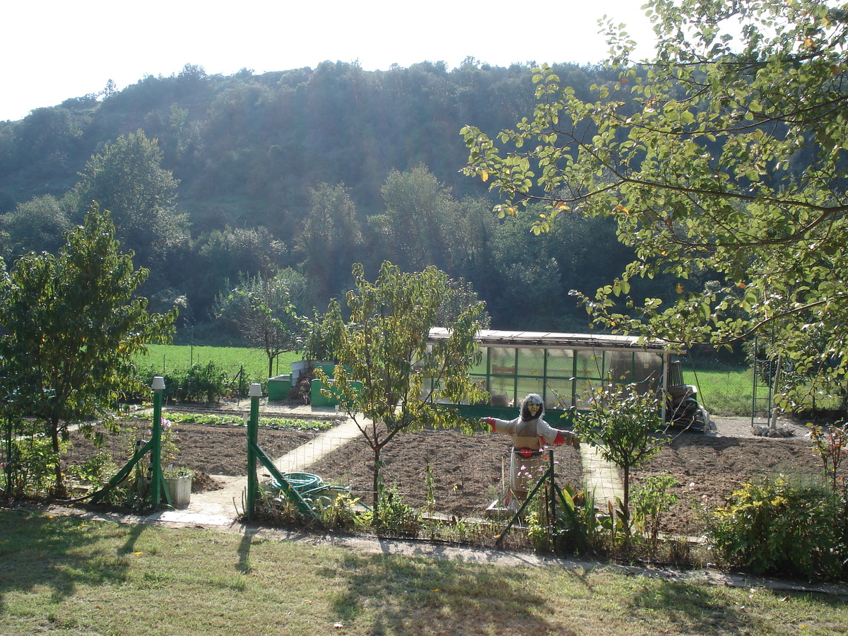รูปถ่าย ฝรั่งเศส(France) วีลเนิฟ-ลูแบ(Villeneuve Loubet) 2006-10 22