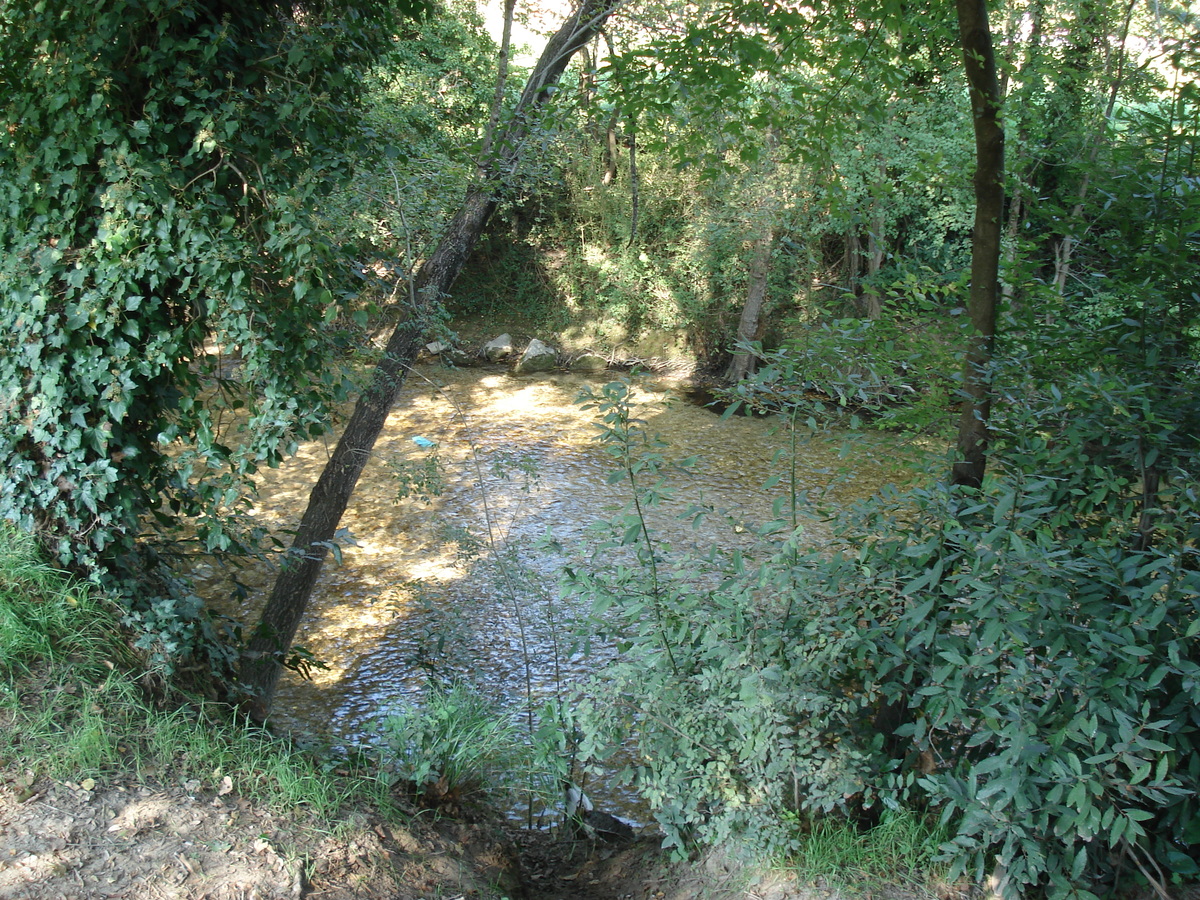 รูปถ่าย ฝรั่งเศส(France) วีลเนิฟ-ลูแบ(Villeneuve Loubet) 2006-10 28