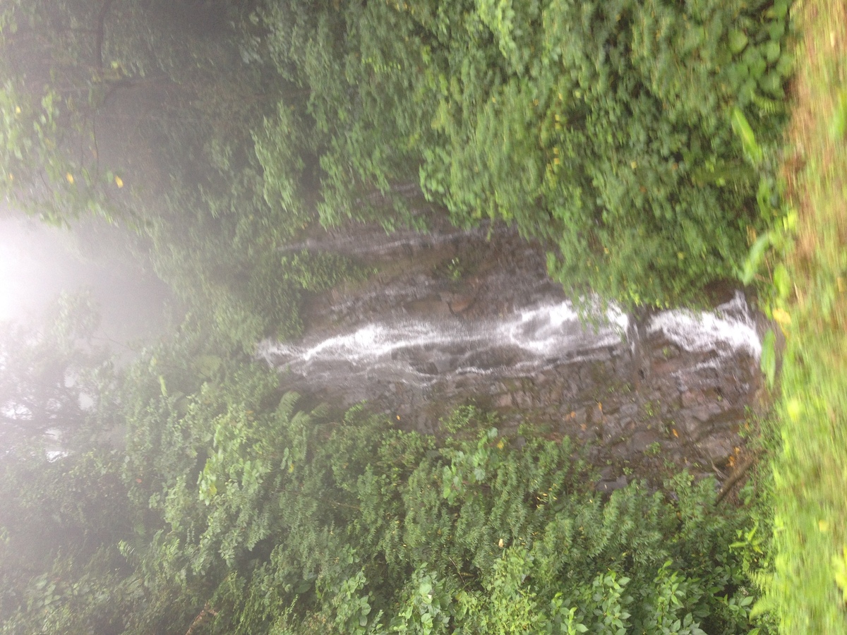 รูปถ่าย ปานามา(Panama) จากดาบิดไปโบกัสเดลโตโร(David to Bocas del toro) 2015-03 50