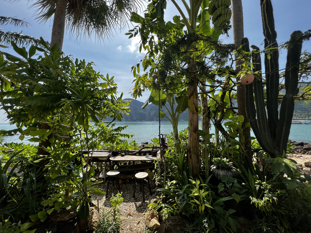 รูปถ่าย ไทย(Thailand) เกาะพีพีดอน(Ko Phi Phi Don) 2021-12 50