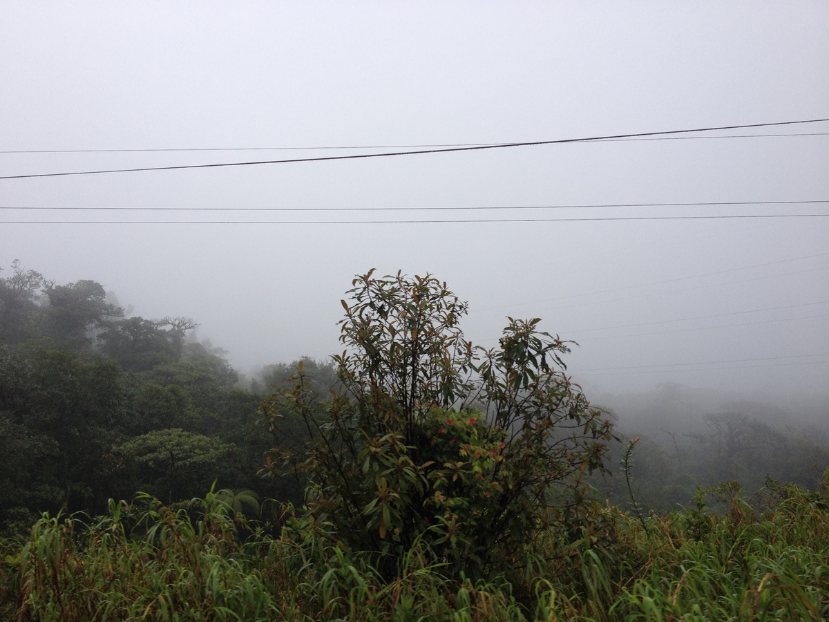 รูปถ่าย ปานามา(Panama) จากดาบิดไปโบกัสเดลโตโร(David to Bocas del toro) 2015-03 77