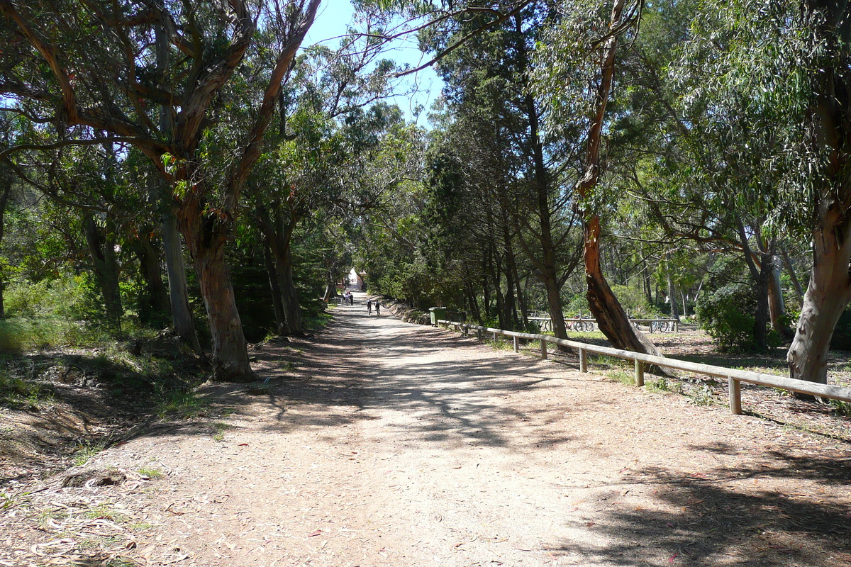 รูปถ่าย ฝรั่งเศส(France) เกาะปอร์เกอรอล(Porquerolles Island) ที่ราบกูร์ตาด(Plaine de la courtade) 2008-05 26