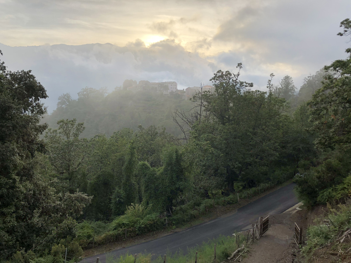 รูปถ่าย ฝรั่งเศส(France) คอร์สิคา(Corsica) เฟลเช(Felce) 2018-09 2
