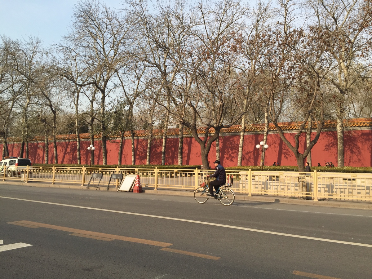 รูปถ่าย จีน(China) ปักกิ่ง(Beijing) พระราชวังต้องห้าม(Forbidden City) 2015-12 100