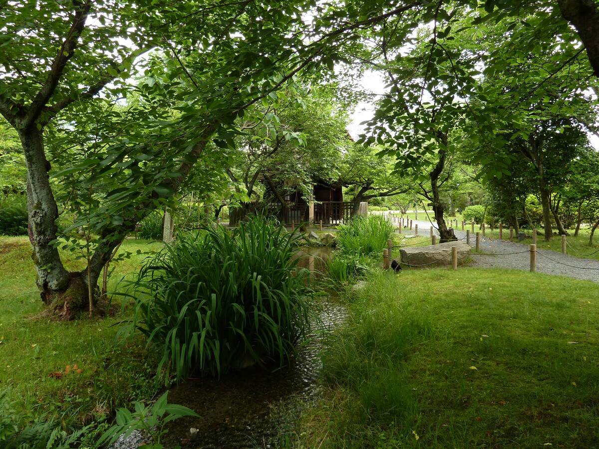รูปถ่าย ญี่ปุ่น(Japan) เกียวโต(Kyoto) สวนโชเซเอ็ง(Shosei en Garden) 2010-06 70